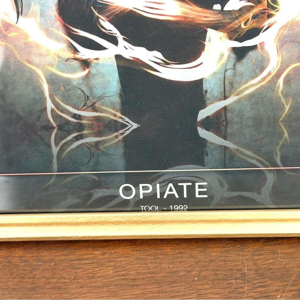 Tool Opiate Music Band Art 1992 Canvas Print Gold Framed Wall Hanging Art Metal